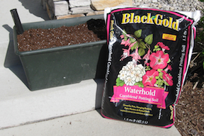 Black Gold Potting Soil