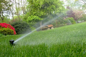 Rainbird Sprinkler Irrigation Systems